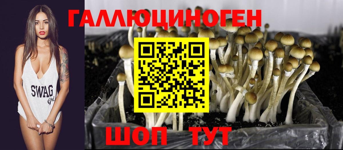 Зерноград  Псилоцибиновые грибы мухоморы  Вход с VPN 