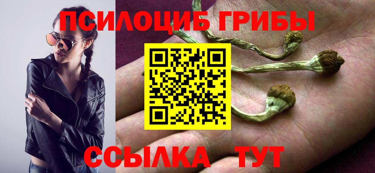 Галлюциногенные грибы Psilocybe Зерноград